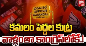 Sarpanch Election: సర్పంచ్ పదవికి వేలం,  27.5 లక్షలకు దక్కించుకున్న యువకుడు!