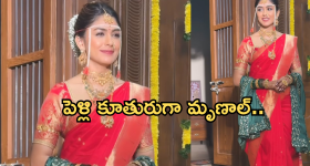 Mrunal Takur : సైలెంట్ గా పెళ్లి పీటలు ఎక్కబోతున్న మృణాల్.. వీడియో వైరల్..