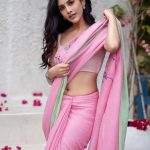 Nabha Natesh: పింక్ చీరలో ఇస్మార్ట్ బ్యూటీ.. నాభి అందాలే హైలైట్ రా బాబు