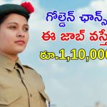 Indian Navy Jobs: గోల్డెన్ ఛాన్స్.. ఇండియన్ నేవీలో ఉద్యోగాలు.. ఈ జాబ్ వస్తే గిట్ల రూ.1,10,000 జీతం