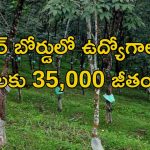 Field Officer Jobs: రబ్బర్ బోర్డులో ఫీల్డ్ ఆఫీసర్ ఉద్యోగాలు.. డిగ్రీ పాసైతే చాలు.. నెలకు రూ.35వేల వరకు జీతం.. పూర్తి వివరాలివే..