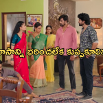 Satyabhama Today Episode : క్రిష్ ను ఇంట్లోంచి బయటకు గెంటేసిన మహాదేవయ్య.. కన్నతండ్రి గూటికి క్రిష్..