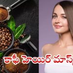 Hair Fall Control: జుట్టు పలచబడుతోందా ? ఇలా చేస్తే.. ప్రాబ్లమ్ సాల్వ్