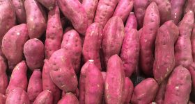 Sweet Potato: ఉడికించిన చిలగడదుంప తింటే జరిగేది ఇదే.. మీరు అస్సలు ఊహించి ఉండరు