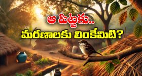Bulli Raju: వెంకటేష్ కొడుకు డిమాండ్ మామూలుగా లేదుగా.. ఒక్క రోజు రెమ్యూనరేషన్ ఎంతంటే..?