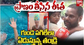 Vitamin E: విటమిన్ ఇ శరీరానికి ఎంత ముఖ్యమో తెలుసా ?