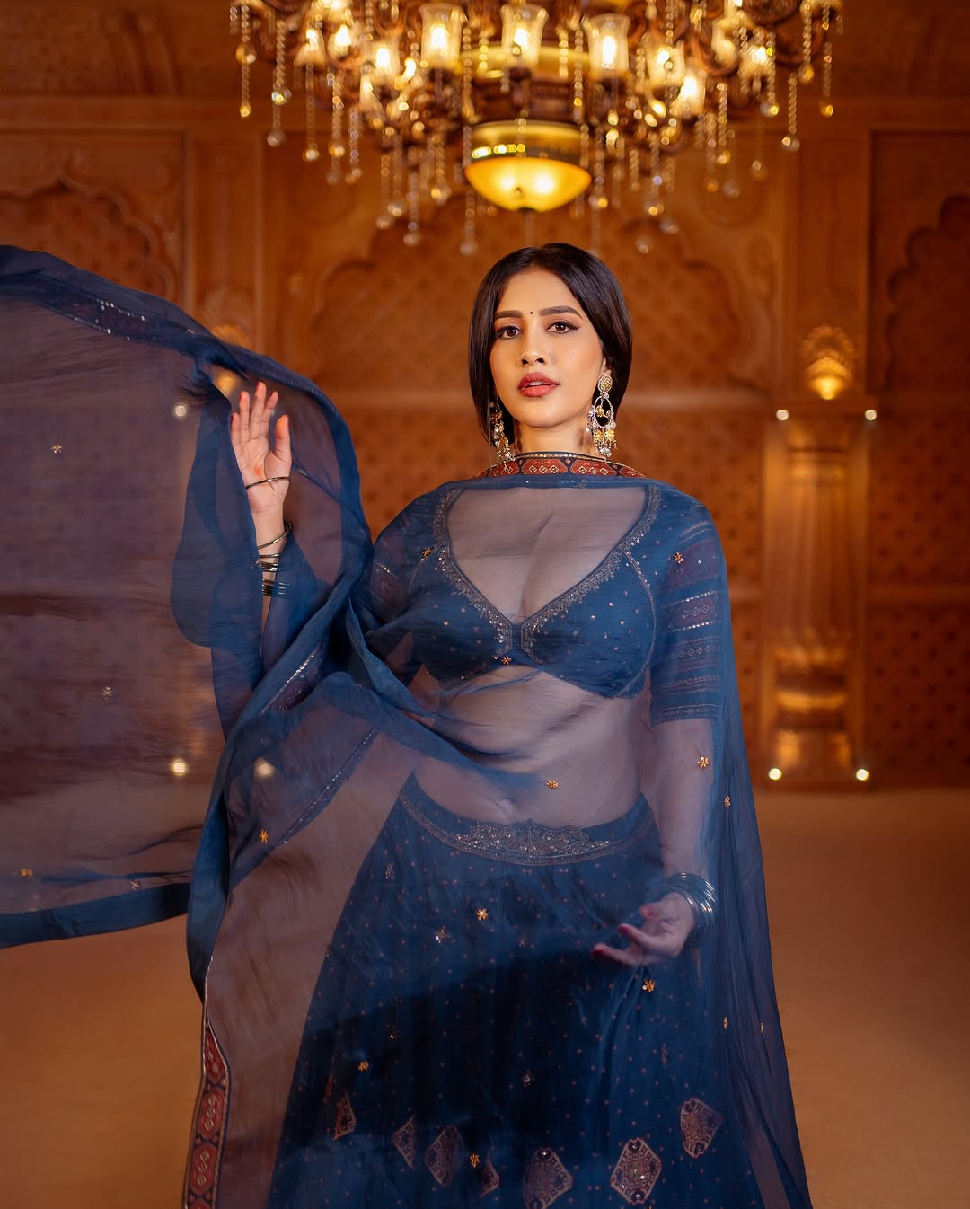 Nabha Natesh Photo Gallery