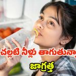 Cold Water: ఎండాకాలంలో చల్లటి ఫ్రిజ్‌లోని.. నీళ్లు తాగుతున్నారా ? జాగ్రత