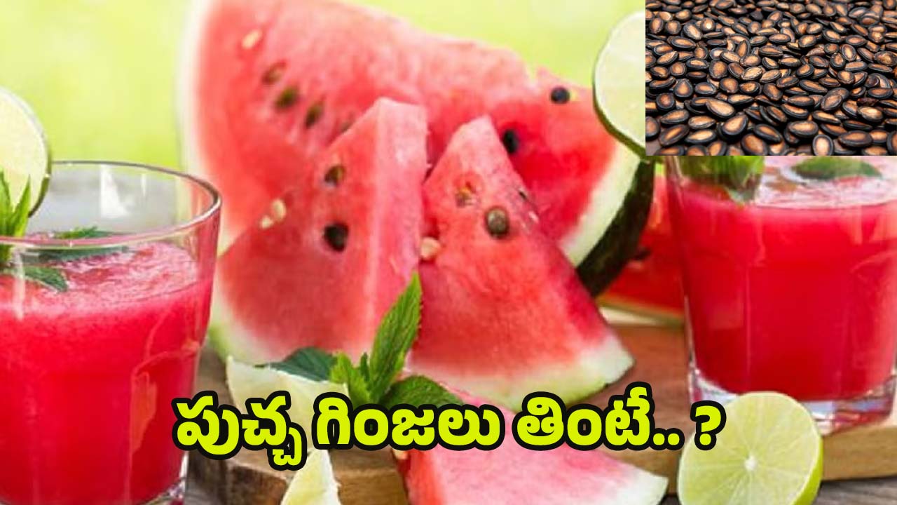 Watermelon Seeds: పుచ్చగింజలు తింటే.. ఆశ్చర్యకర లాభాలు !
