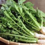 Radish Leaves: ముల్లంగి ఆకులను పడేస్తున్నారా ? ప్రయోజనాలు తెలిస్తే.. అస్సలు అలా చెయ్యరు