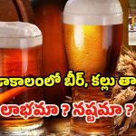 Drinking Beer in Summer: ఎండాకాలంలో కల్లు, బీర్ తాగితే.. లాభమా ? నష్టమా ?