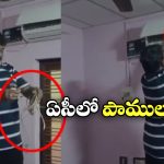 Snakes In AC: ఏసీలో పిల్లలను పెట్టిన పాము, ఎక్కడా ప్లేస్ దొరకలేదానే తల్లీ?