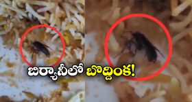 Cockroach In Biryani: సగం బిర్యానీ తిన్నాక షాక్.. ప్లేట్ లో ఏం కనిపించిందంటే?