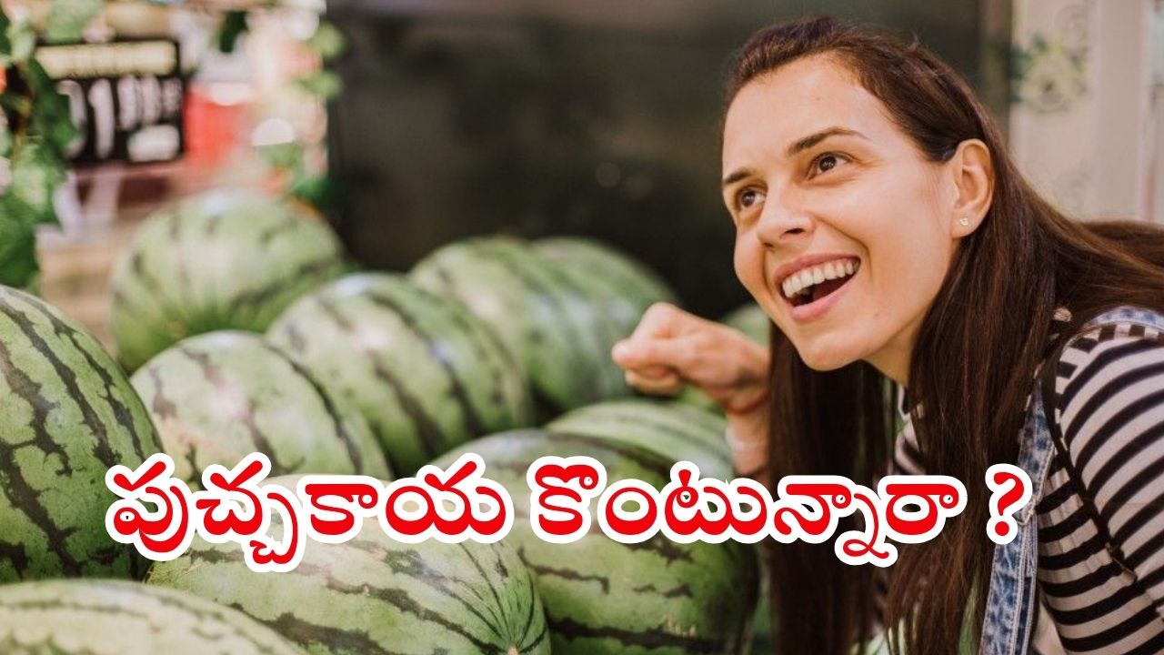 Watermelon: తాజా, తియ్యటి పుచ్చకాయను గుర్తించడం ఎలా ?
