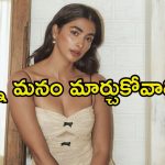 Pooja Hegde: అవకాశాల కోసం అలా చేయాలి, బాలీవుడ్‌కు వెళ్లింది అందుకే.. పూజా హెగ్డే కామెంట్స్