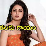Bhagyashree: సీనియర్ నటికి గాయాలు, 13 కుట్లు.. ఇంతకీ ఏం జరిగిందంటే.?