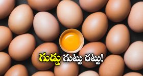 Bonela Vijaya Chandra: వైసీపీతో డీల్.. బయటపడ్డ టీడీపీ ఎమ్మెల్యే బాగోతం
