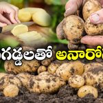 Eating Potatoes: బంగాళ దుంపలతో ఇన్ని అనారోగ్యాలా? తప్పు చేస్తున్నామా?