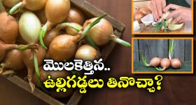 Snake Bite:10వ తరగతి పరీక్షా కేంద్రంలో అధికారిని కాటేసిన పాము