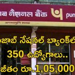 PNB Recruitment: పంజాబ్ నేషనల్ బ్యాంక్‌లో భారీగా ఉద్యోగాలు.. జీతమైతే అక్షరాల రూ.1,05,280
