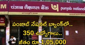 PNB Recruitment: పంజాబ్ నేషనల్ బ్యాంక్‌లో భారీగా ఉద్యోగాలు.. జీతమైతే అక్షరాల రూ.1,05,280
