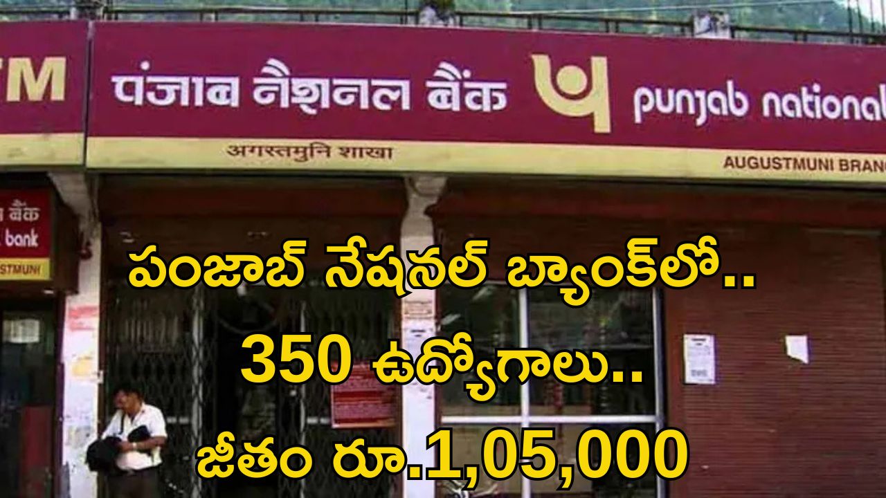 PNB Recruitment: పంజాబ్ నేషనల్ బ్యాంక్‌లో భారీగా ఉద్యోగాలు.. జీతమైతే అక్షరాల రూ.1,05,280