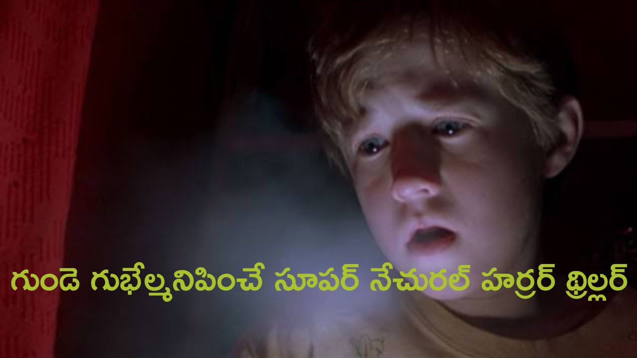OTT Movie : చచ్చి దెయ్యాలైన వాళ్ళను చూడగలిగితే… ఈ పిల్లాడి సూపర్ పవర్స్ కు గూస్ బంప్స్