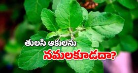 Missile City : భూగర్భంలో భారీ క్షిపణి నగరం - తొలిసారి ప్రపంచానికి లీక్