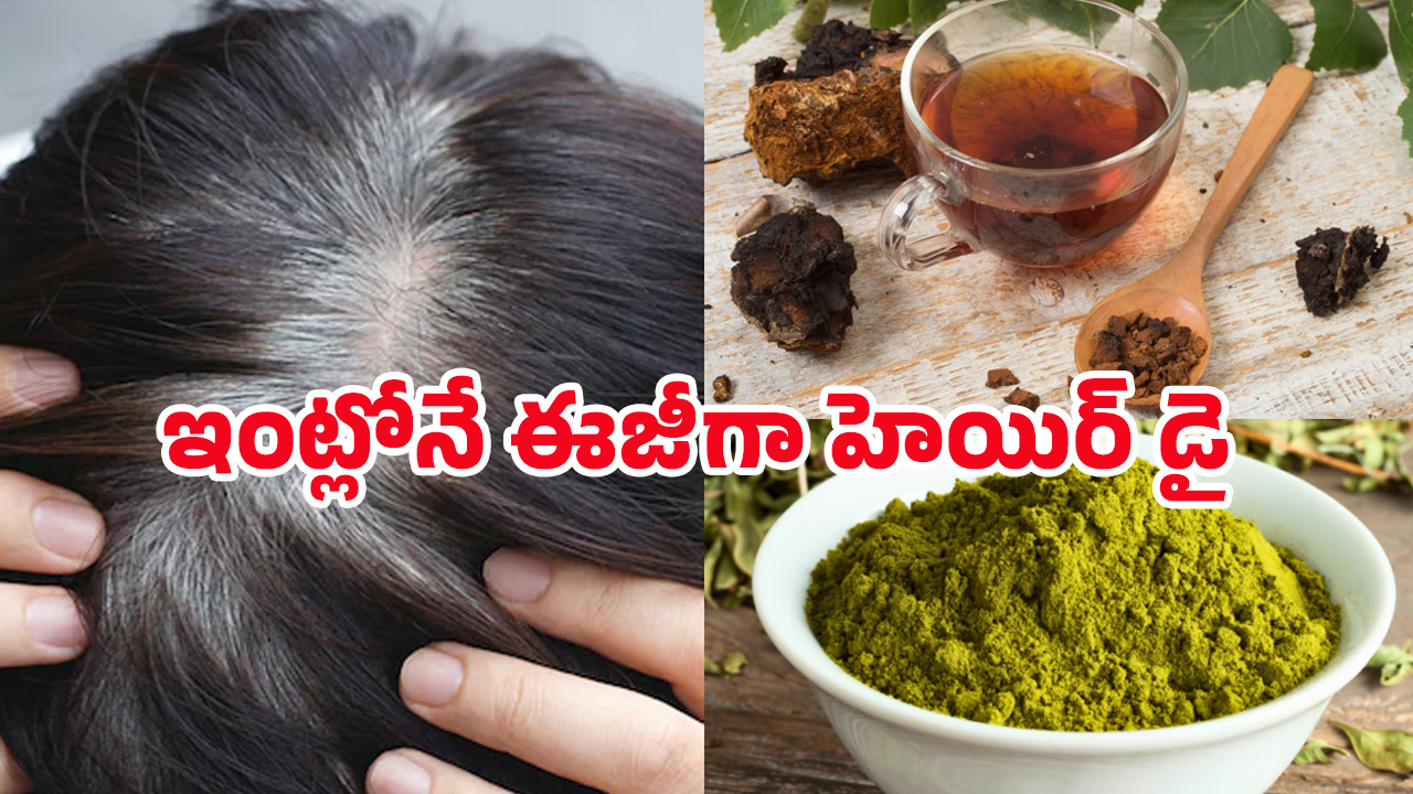 Best Tips White Hair: గోరింటాకు, డికాషన్ కలిపి ఈ హెయిర్ మాస్క్ ట్రై చేయండి.. జీవితంలో తెల్లజుట్టు రాదు