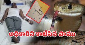 Amit Shah Sahkar Taxi : ‘సహకార్ ట్యాక్సీ’ సేవలు ప్రారంభించనున్న ప్రభుత్వం.. దీనితో ఎవరికి ఎక్కువ లాభమంటే?