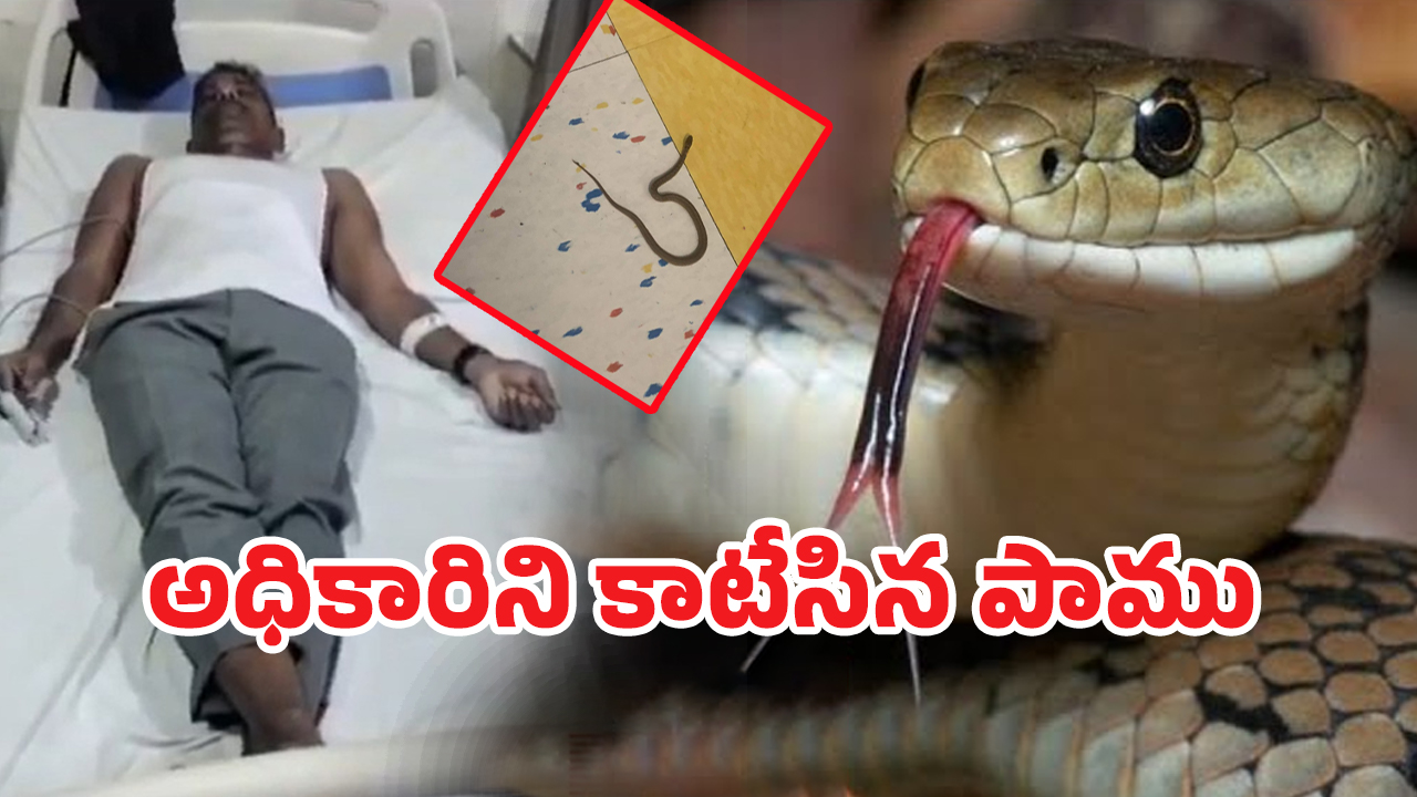 Snake Bite:10వ తరగతి పరీక్షా కేంద్రంలో అధికారిని కాటేసిన పాము