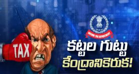 Chicken in Summer: చికెన్ ఇలా ఉంటే కొనొద్దు.. వేసవిలో ఈ జాగ్రత్తలు తీసుకోకపోతే చాలా డేంజర్!