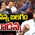 YS Jagan: ప్చ్.. పార్టీలో ఐక్యత మిస్సింగ్..! జగనన్న బలగం చూడ‌న్న‌