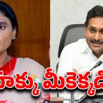 Sharmila on Jagan: కర్త, కర్మ, క్రియ జగన్.. అంతా నాశనం చేశారు.. షర్మిళ సంచలన కామెంట్స్