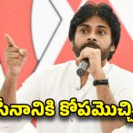 Pawan Kalyan: పవన్ సీరియస్.. ఆ నేతపై చర్యలకు ఆదేశం..
