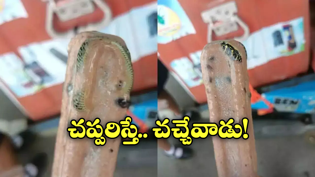 Viral News: పుల్ల ఐస్.. నోట్లో పెట్టుకోబోయాడు, అంతే షాక్..