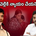 CM Chandrababu: తల్లి, చెల్లిపై కోర్టుకెక్కిన వ్యక్తి.. జగన్‌పై చంద్రబాబు పంచ్‌లు, అంత మాట అనేశారేంటీ?