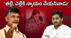 CM Chandrababu: తల్లి, చెల్లిపై కోర్టుకెక్కిన వ్యక్తి.. జగన్‌పై చంద్రబాబు పంచ్‌లు, అంత మాట అనేశారేంటీ?