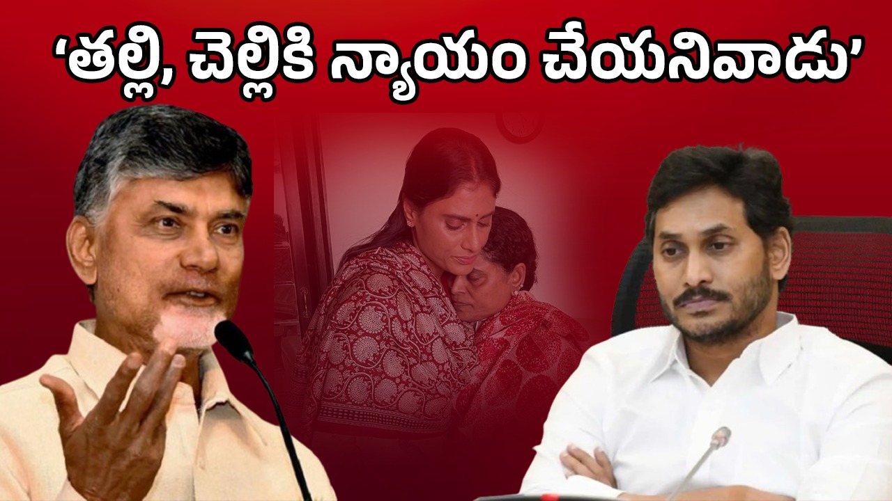 CM Chandrababu: తల్లి, చెల్లిపై కోర్టుకెక్కిన వ్యక్తి.. జగన్‌పై చంద్రబాబు పంచ్‌లు, అంత మాట అనేశారేంటీ?