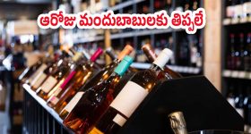 Sri Vari Kalyanam : అమ‌రావ‌తిలో తిరుమల శ్రీవారి కళ్యాణం.. రాజధానికి రానున్న స్వామివారు