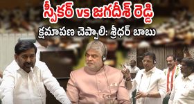 Robinhood : హైదరాబాద్ కి వస్తున్న వార్నర్... నితిన్ భలే ప్లాన్ చేశాడు భయ్యా..