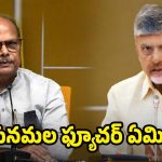 Yanamala Rama Krishnudu: యనమల శకం ముగిసినట్లేనా? ఆయన్ని ఎందుకు పక్కన పెడుతున్నారు?