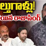 MLA Rajasingh: కొందరు ఫాల్తుగాళ్లు మా పార్టీ నుంచి పోతే.. అధికారం మాదే: రాజాసింగ్ సంచలన వ్యాఖ్యలు