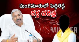 Punganur Murder Case: టీడీపీ కార్యకర్త హత్య..పెద్దిరెడ్డి కీలక నిందితుడు!