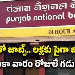 PNB Recruitment: లక్షకు పైగా వేతనంతో ఉద్యోగాలు.. డిగ్రీ పాసైతే చాలు.. ఇంకా వారం రోజులే..!