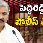 AP Politics: టీడీపీ లీడర్ మర్డర్.. 264 మంది పోలీసులు ట్రాన్స్‌ఫర్.. పెద్దిరెడ్డి ఫసక్?