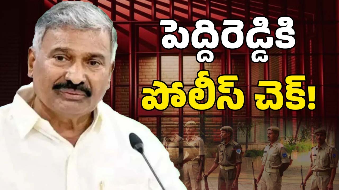 AP Politics: టీడీపీ లీడర్ మర్డర్.. 264 మంది పోలీసులు ట్రాన్స్‌ఫర్.. పెద్దిరెడ్డి ఫసక్?