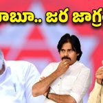 JanaSena: నాగబాబు నయా రోల్!.. నోరు ఉన్నోడిదే రాజ్యమా?