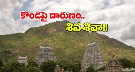 Shobhita- Naga Chaitanya: మ్యాగజైన్ కోసం కొత్తజంట ఫోజు.. ఏకిపారేస్తున్న నెటిజన్స్.. ఏమైందంటే?