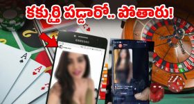 Tripti Dimri: వలలో చిక్కుకున్న చేప పిల్లలా.. ఘాటు అందాలతో రెచ్చిపోయిన త్రిప్తి..!